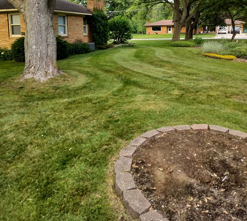 Professional landscaping in Allendale Michigan