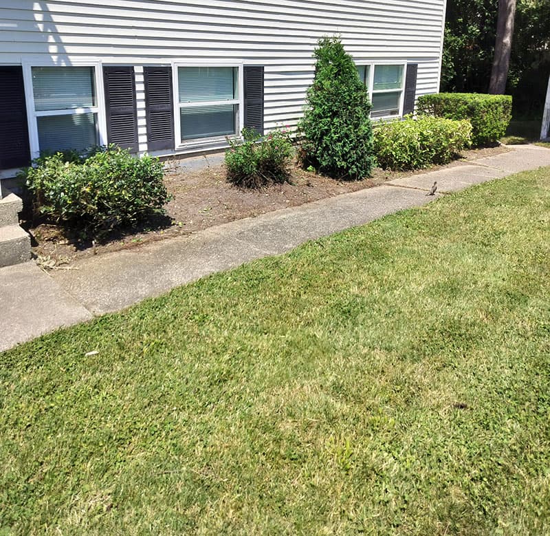 Commercial apartment edging in Allendale Michigan