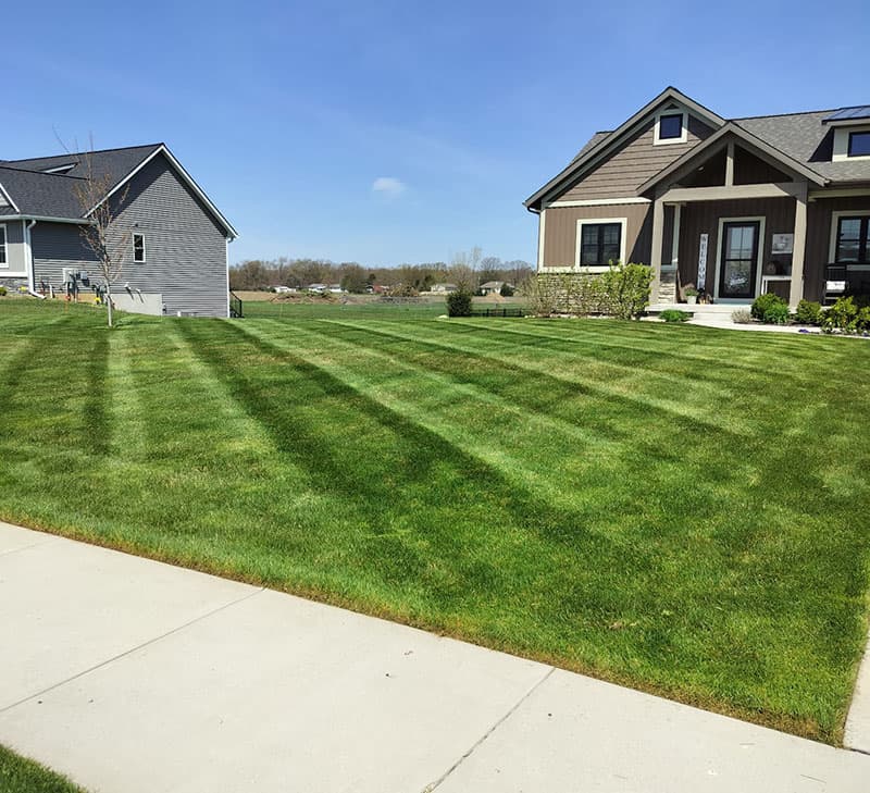 Lawncare Background