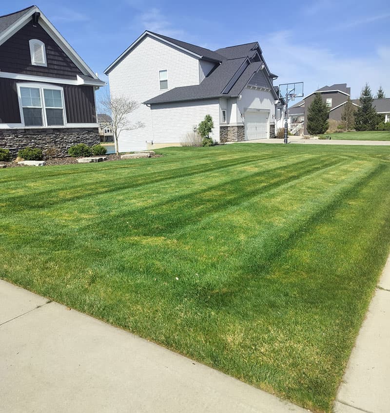 Lawn care in Grand Haven and West Olive