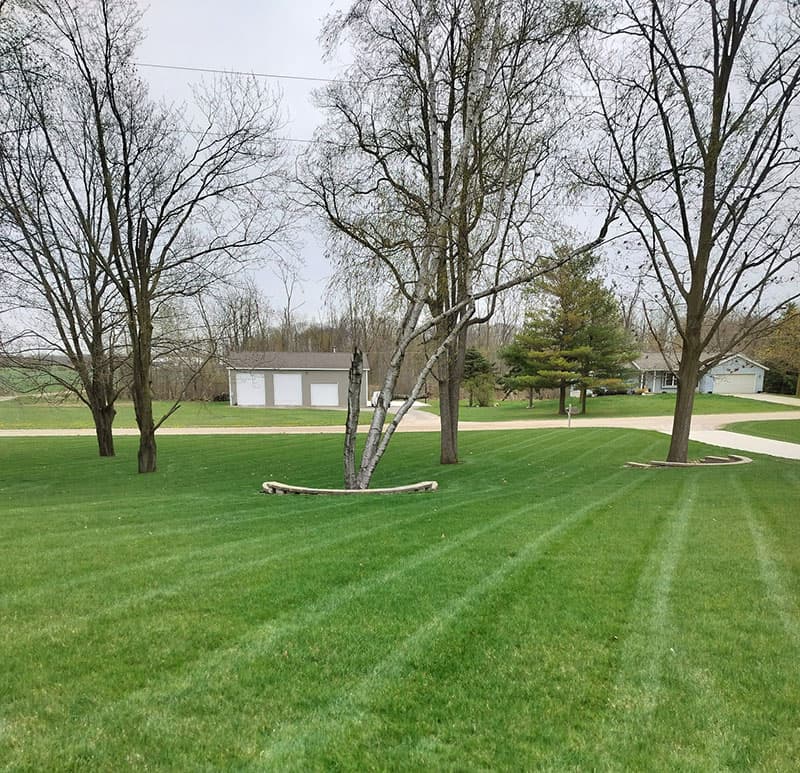 Professional lawn care in Holland Michigan