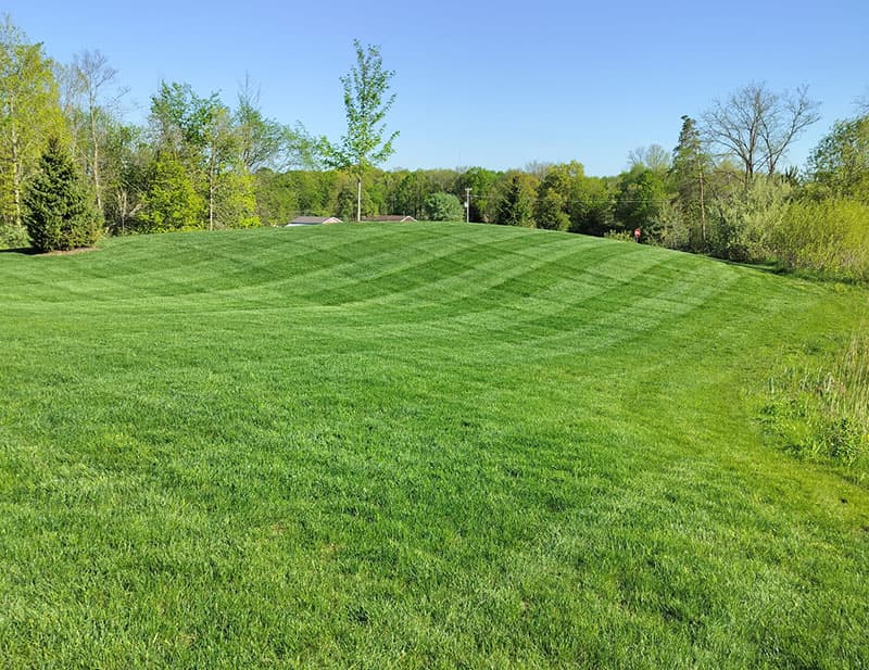 Commercial landscaping for hilly terrain in Holland