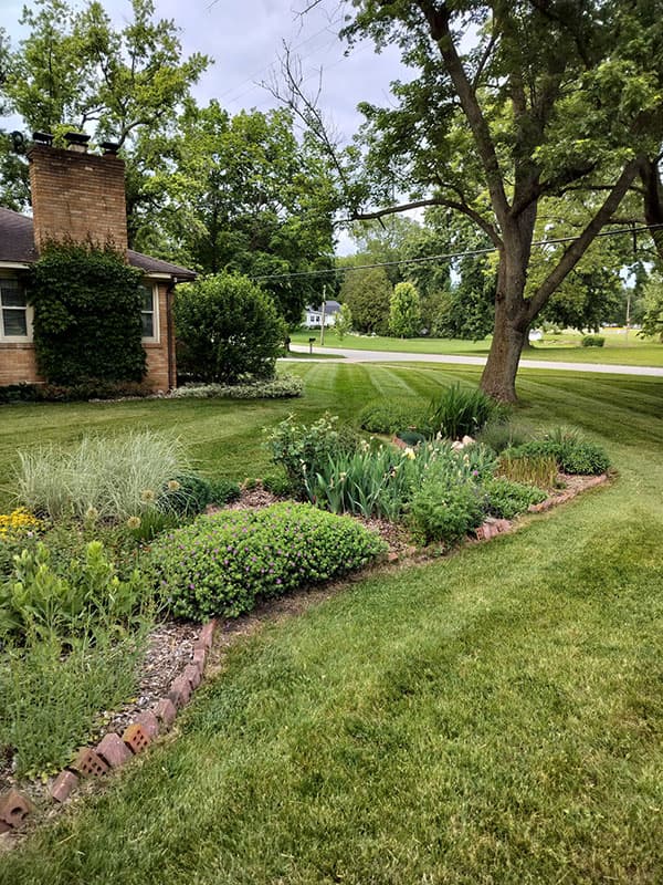 Expert lawn care services in Zeeland Michigan